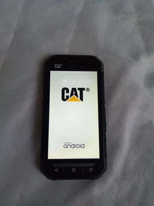 Cat S30